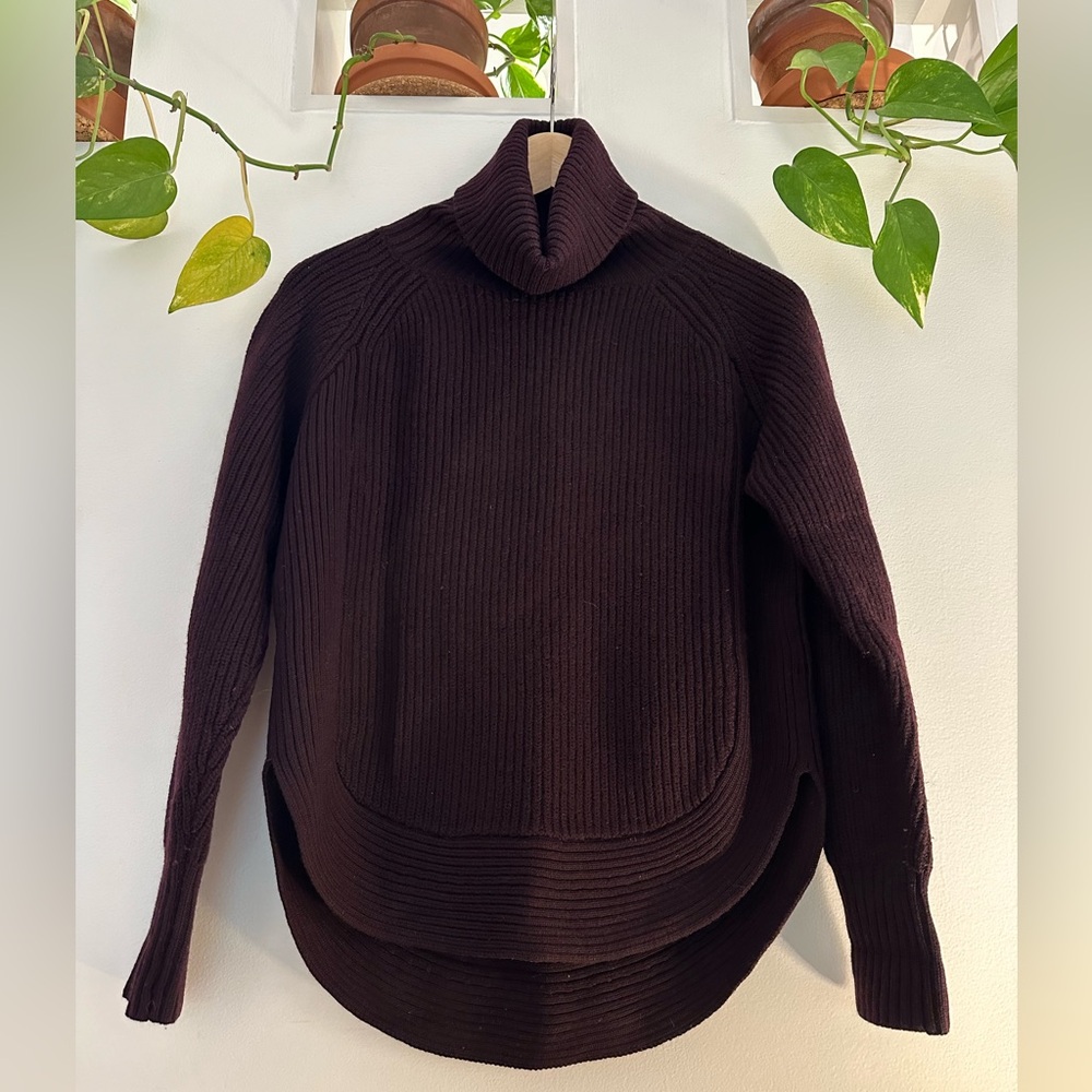 Aritzia 100% Merino Wool Aubergine Wilfred Turtleneck Sweater